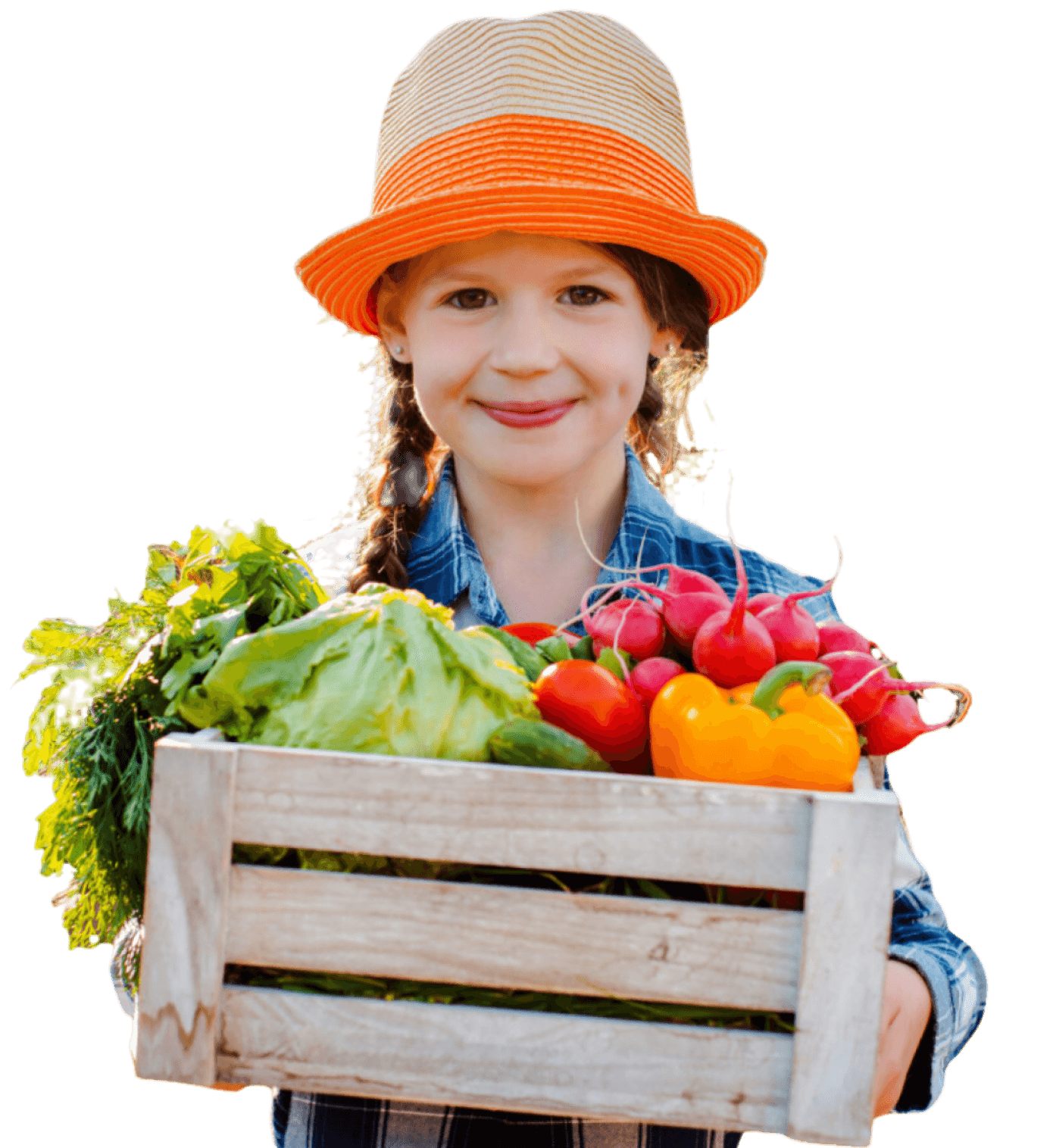 Fresh Fruits and Vegetables